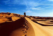 Sahara. 
Poušť Sahara se rozprostírá téměř po celé severní Africe. Táhne se od Maroka a Mauritánie na západě až po Egypt a Súdán na východě. Původně byla patrně osídlená černochy, které na přelomu letopočtu vytlačily berberské a tuaregské kmeny. Po islamizaci saharské Afriky přišli Arabové a území osídlili. Krásné duny pokrývají jen asi 10% celé plochy této pouště. Zbytek jsou písčité roviny nebo vyprahlé skalní masivy. Výstup na vysoké duny je v horku a s těžkým batohem na zádech poměrně vyčerpávající. Nohy se boří do písku a ve svahu ujíždějí zpátky dolů. Z vrcholu to ale potom jede nádherně. Nejdůležitější společník na tůře přes poušť je za všech okolností dostatek vody. Ta totiž v rozpálené poušti při námaze mizí velmi rychle. 
(Maroko)